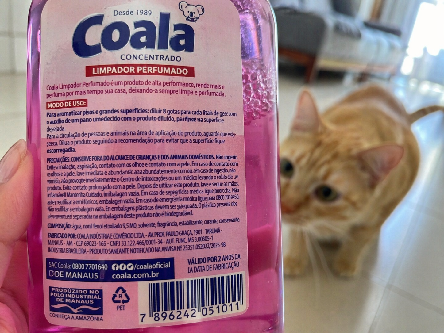 Como manter a casa limpa e segura sem prejudicar seus pets